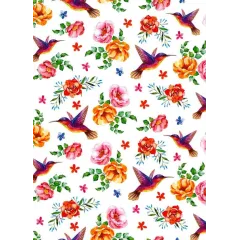 χαρτόνι διπλής όψης watercolor birds 50x70cm 300gr - Ursus