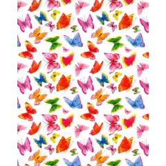 χαρτόνι διπλής όψης watercolor butterflies 50x70cm 300gr - Ursus