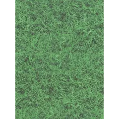 χαρτόνι 50x70cm 300gr διπλής όψης γρασίδι - Ursus