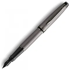 πένα waterman expert special edition metallic silver rt fp - Waterman