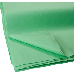 χαρτί αφής mint 50x70cm 26 φύλλα - Ursus