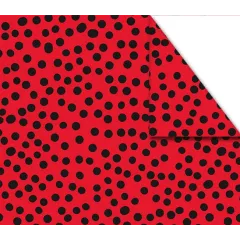 χαρτόνι διπλής οψης 50x70cm 220 gr. πασχαλίτσα - Fabi