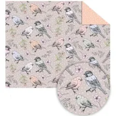 χαρτόνι 50x70cm 300gr birds - Ursus