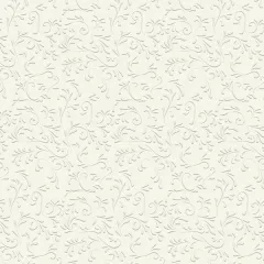 χαρτί heyda 50x70 220gr. roma εκρού - Heyda