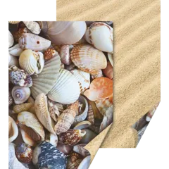 χαρτόνι heyda 50x70 διπλής όψης shels & sand - Heyda