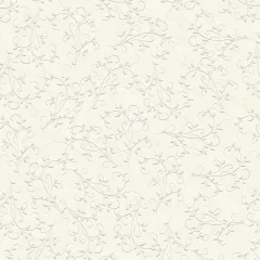 χαρτόνι heyda 50x70 220gr firenze εκρού - Heyda