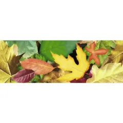 χαρτόνι 50x70cm 300gr autumn leaves - Ursus
