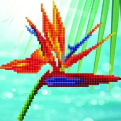 Κατασκευή diamond dotz bird of paradise 13+ - Diamond dotz