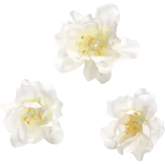 Λουλούδια knorr prandell 2,5cm 36 τμχ λευκά - Knorr prandel