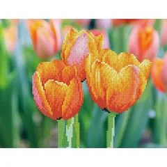 Κατασκευή diamond dotz love tulips 13+ - Diamond dotz