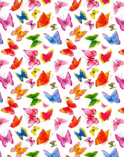 χαρτόνι διπλής όψης watercolor butterflies 50x70cm 300gr - Ursus