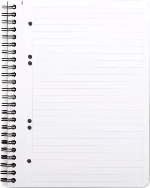 σημειωματαριο σπιράλ rhodia greenbook α5 ριγέ 80 φύλλα - Rhodia