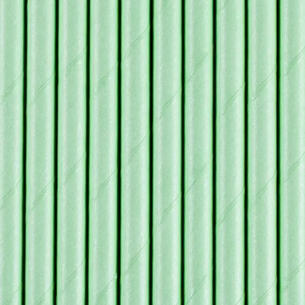 Καλαμάκια χάρτινα dark mint 19.5cm - Deco