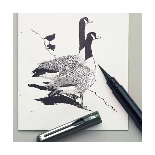 Brush pen pentel pigment ink grey ink - Pentel