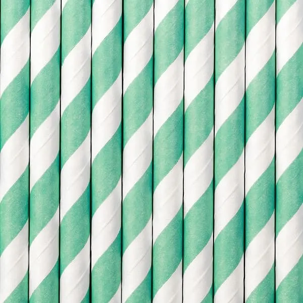 χάρτινα καλαμάκια dark mint 19.5cm - Deco