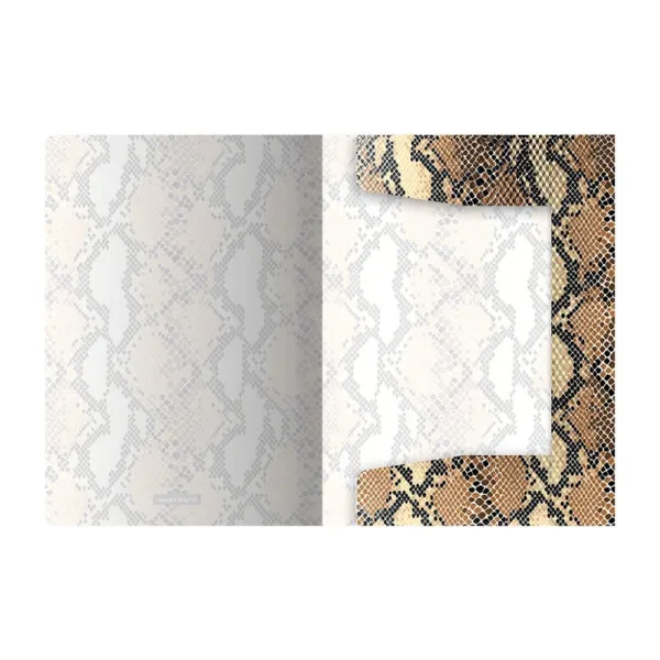 Ντοσιέ με λάστιχο α4 erichkrause python print - Erichkrause