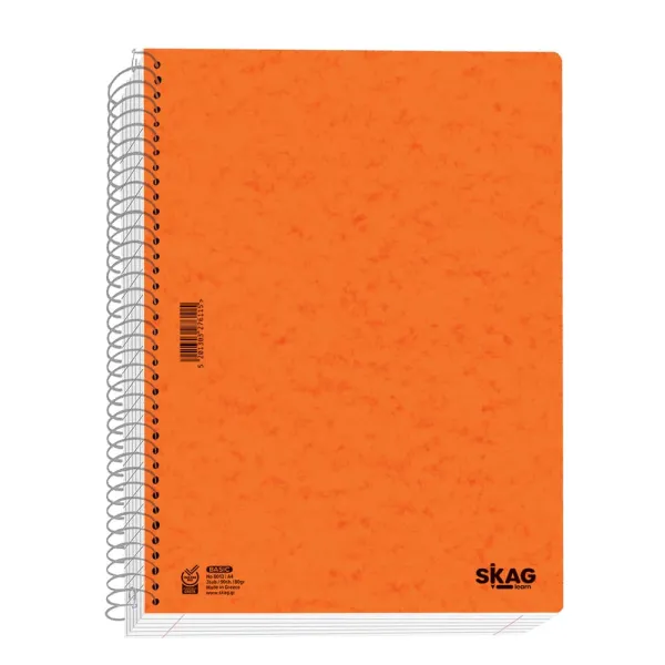 τετράδιο σπιράλ skag basic α4 2 θέματα - Skag