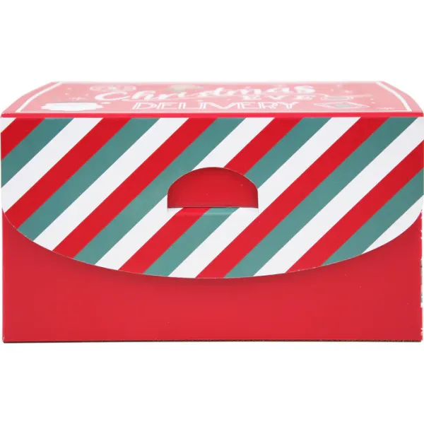 Κουτί xmas post 20x30x17cm - Eurowrap