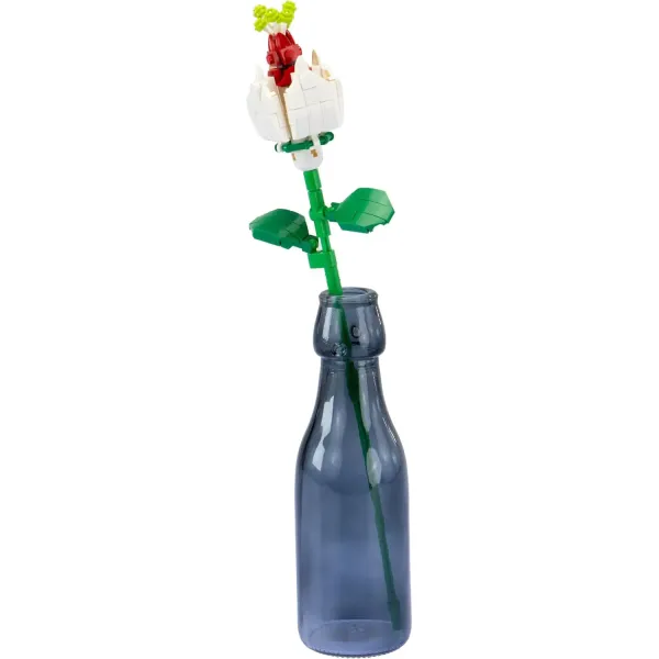 Κατασκευή με τουβλάκια clerodendro girabrilla 6+ - Nicegroup