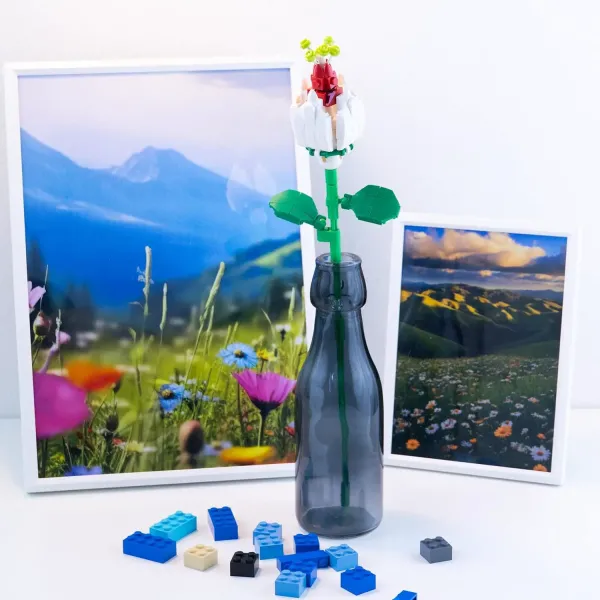Κατασκευή με τουβλάκια clerodendro girabrilla 6+ - Nicegroup