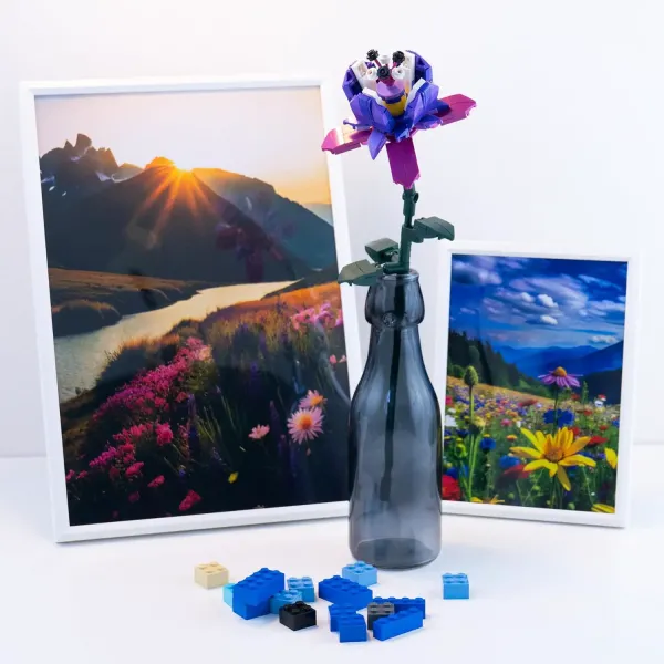 Κατασκευή με τουβλάκια fucsia girabrilla 6+ - Nicegroup