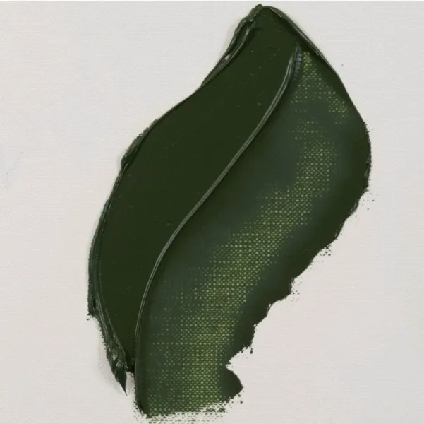χρώμα λαδιού talens van gogh 20ml 629 green earth - Talens