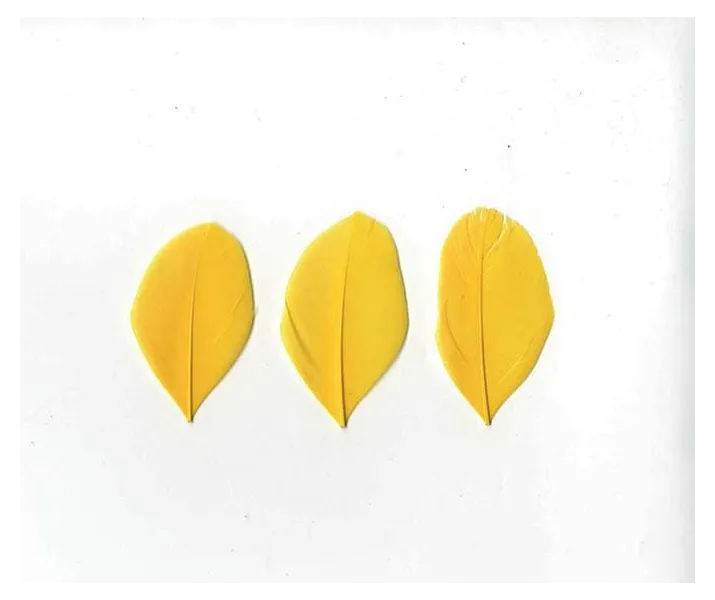 φτερά artemio 6cm κίτρινα 3gr - Artemio