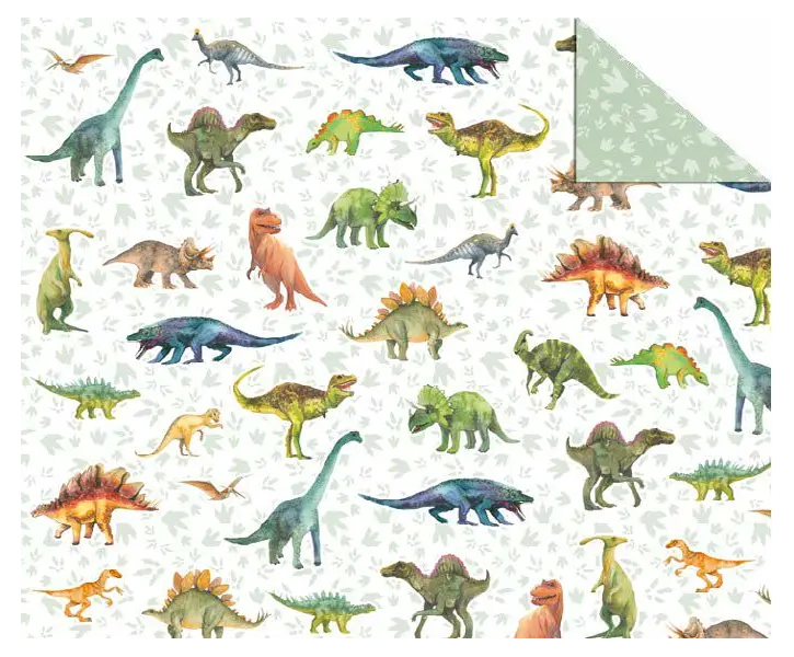 χαρτόνι διπλής οψης 50x70cm 300gr dinosaurs-footprints - Ursus
