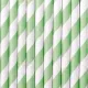 Καλαμάκια χάρτινα stripped mint 10 τεμάχια 19.5cm - Deco