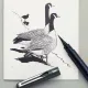 Brush pen pentel pigment ink black - Pentel