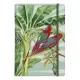 σημειωματάριο clairefontaine jungle harmony α5 - Clairefontaine