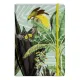 σημειωματάριο clairefontaine jungle harmony α5 - Clairefontaine