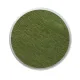 χρώματα για το πρόσωπο snazaroo sparkle green 18ml - Snazaroo