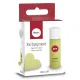 χρώμα rayher πούδρα 20ml lime green - Rayher