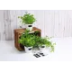 Ετικέτες μαυροπίνακα home feeling 14τεμ οβάλ - Herma
