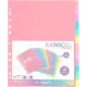 Διαχωριστικά viquel xl 12 θέματα pastel - Viquel