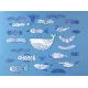 Ζωγραφική londji al mare-mobile to paint 4+ - Londji