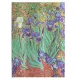 σημειωματάριο paperblanks ριγέ van gogh's irises midi - Paperblanks