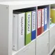 Ετικέτες dymo 99019 lw l/a file labels largel 190mm x 59mm - Dymo