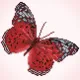 Κατασκευή diamond dotz whisper red 13+ - Diamond dotz