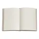 σημειωματάριο paperblanks picaresque ριγέ mini - Paperblanks
