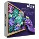 Δημιουργικό σετ κατασκευής 3d με πηλό okto succulents tenderness 14+ - Okto