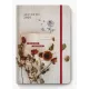 Ημερολόγιο ημερήσιο adbook 2026 aesthetic 14x21cm βιβλίο - Adbook