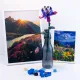 Κατασκευή με τουβλάκια fucsia girabrilla 6+ - Nicegroup