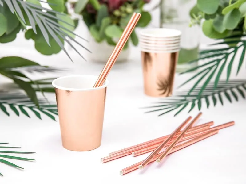 Καλαμάκια χάρτινα rose gold 19,5 cm 10 τεμάχια - Deco