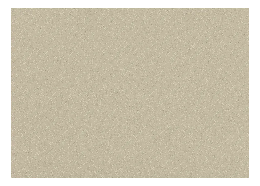 χαρτόνι heyda 50x70cm 220gr. milano natural light brown - Heyda