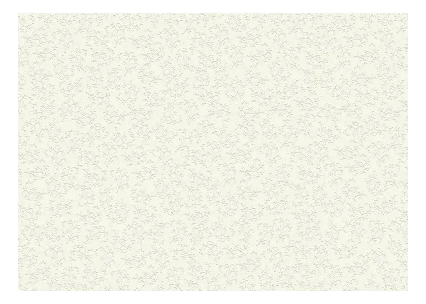 χαρτόνι heyda 50x70 220gr firenze εκρού - Heyda