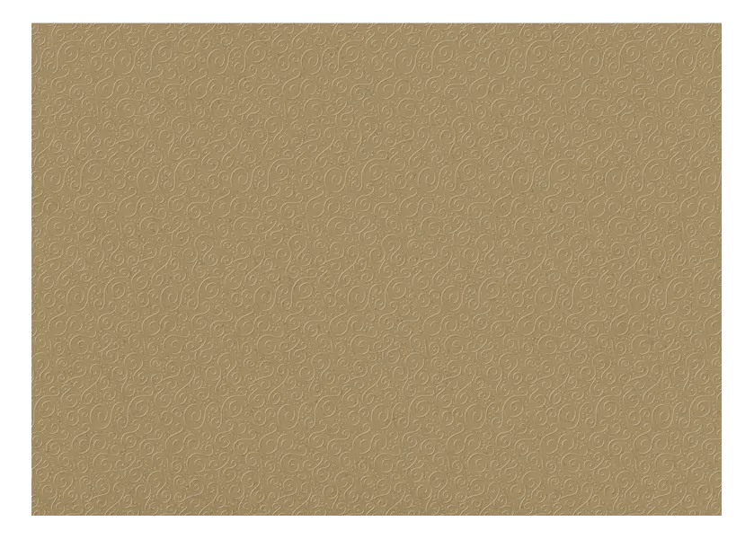 χαρτόνι heyda 50x70cm 220gr. milano natural brown - Heyda