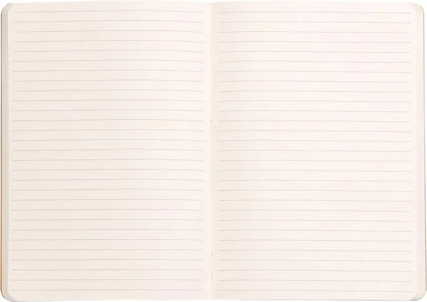 σημειωματάριο rhodia ριγέ α5 με λάστιχο sage - Rhodia