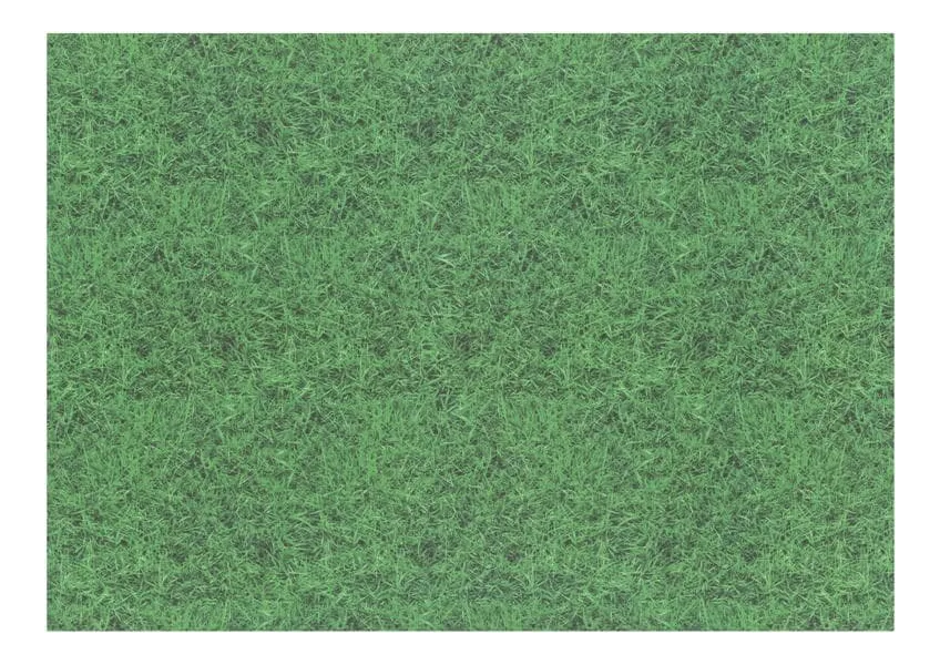 χαρτόνι 50x70cm 300gr διπλής όψης γρασίδι - Ursus